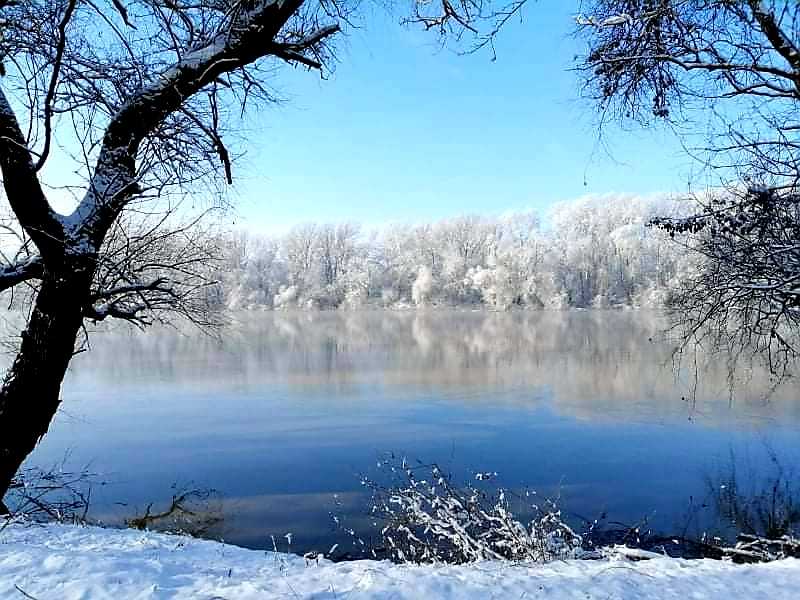 Téli túrák a Tisza-tó körül, akár önállóan is!