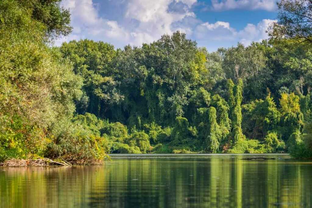 Érdekességek a Tisza-tó kialakulásáról 5.rész