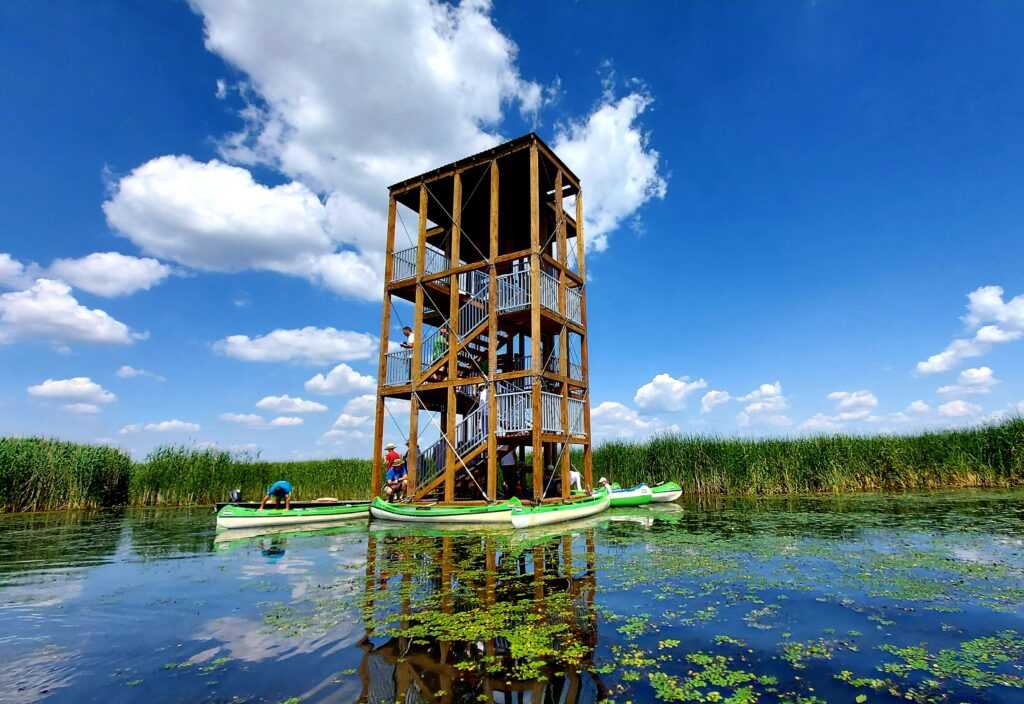 Júliusi bakancslista a Tisza‑tónál – ahol a víz, a fény és a természet összeér