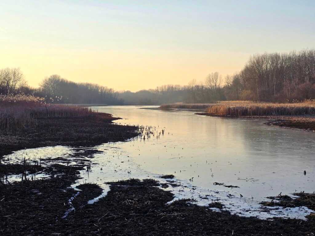 Egyek rejtett madárvilága: a Göbe-morotva