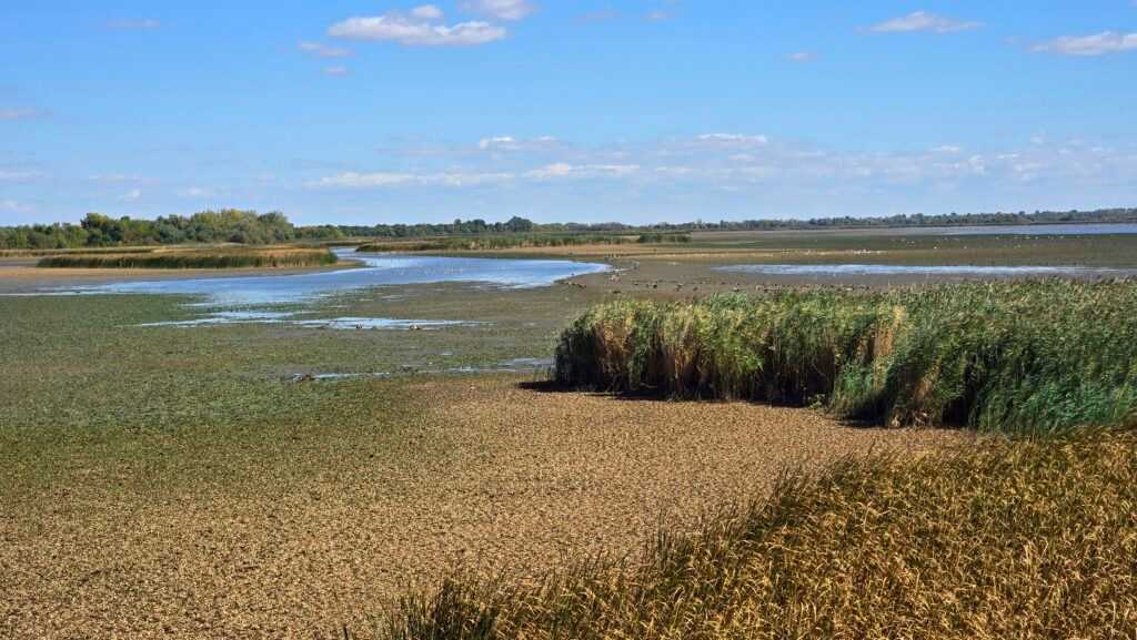 A Tisza-tó új fejezete: fejlesztések, összefogás és négyévszakos gondolkodás