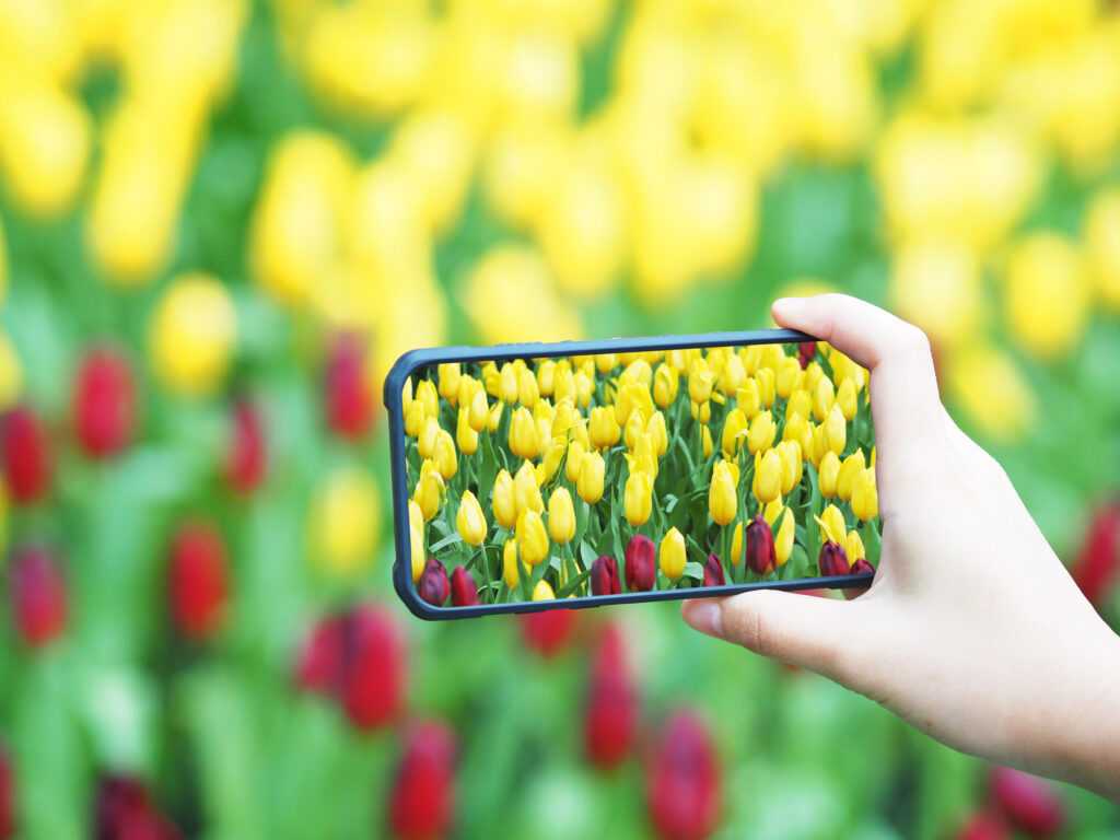 3 nagyszerű tavaszi program áprilisban a Tisza-tónál és a Hortobágyon