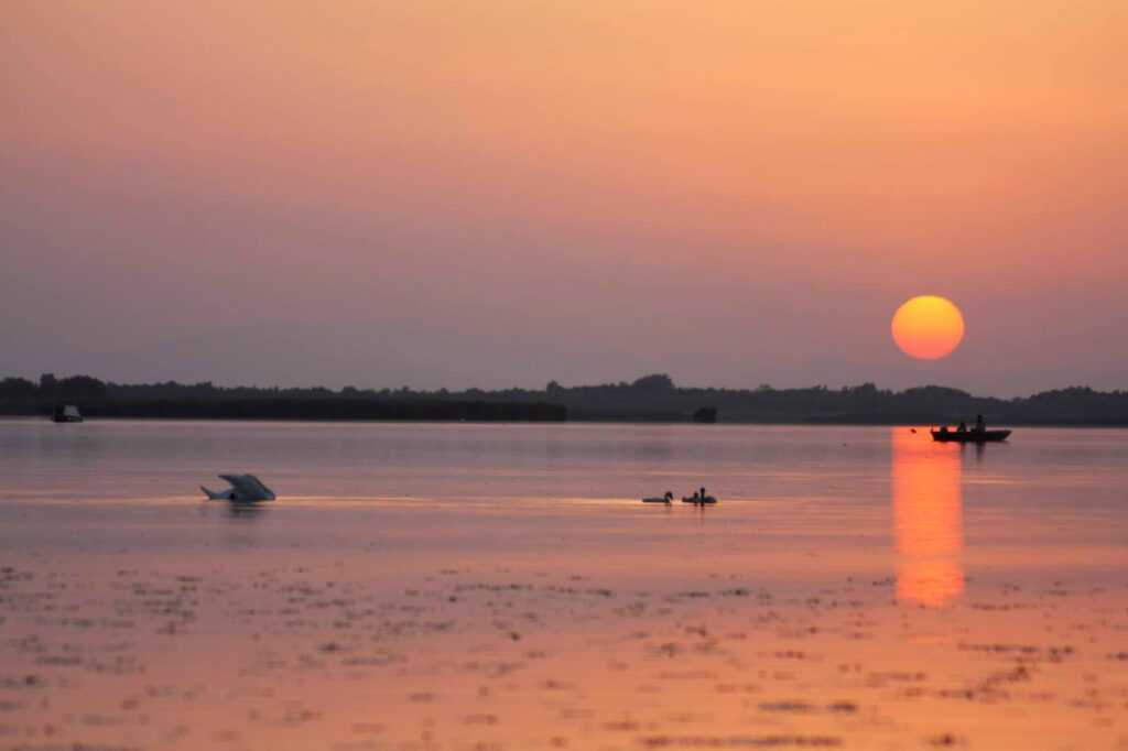 Naplemente túrák a Tisza-tónál és a Hortobágyon