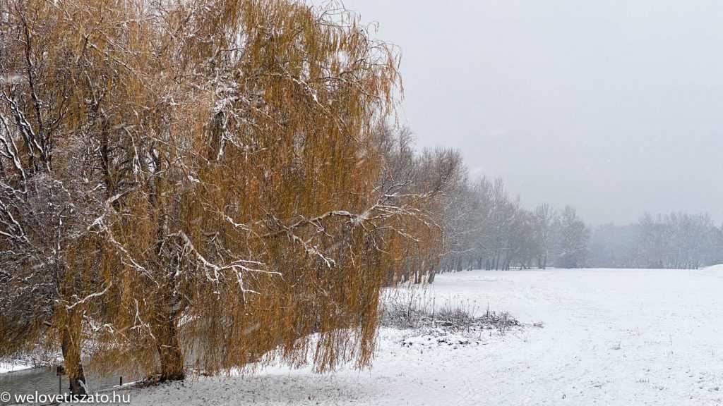 Évindító: Tisza-tó téli túra (bár jó lenne egy jégtúra)