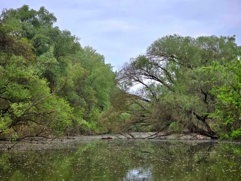 10 programtipp 2026 tavaszára – Tisza-tó, Hortobágy