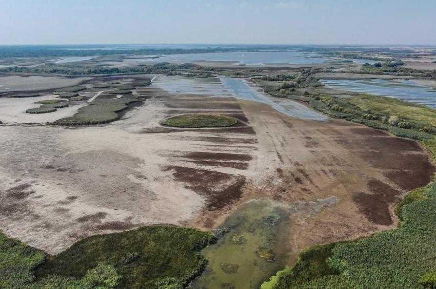 Téli vízszint, nyári kaland: különleges túrák indultak a Tisza-tó előbukkanó világába
