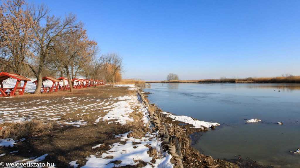 Téli túra a Tisza-tó partján 3. – Poroszló és Sarud között