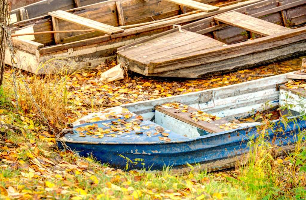 3+1 kihagyhatatlan őszi program a Tisza-tónál és a Hortobágyon