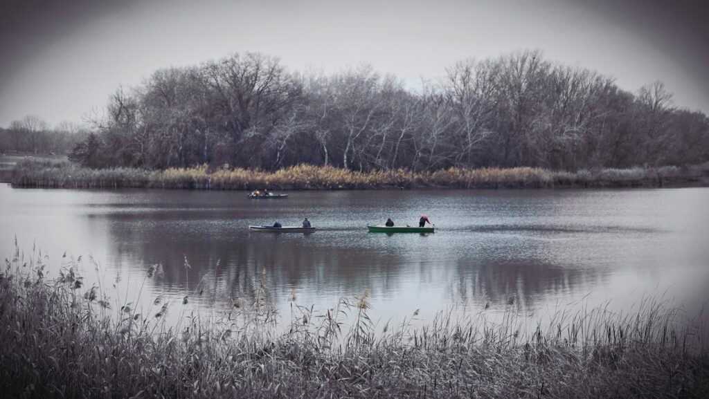 Tisza-tavi téli mozaik: a csendes természet menedéke