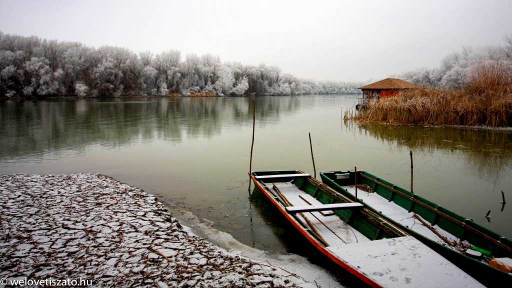 Téli túra a Tisza-tó partján 2. – Tiszafüred ártéri erdeje