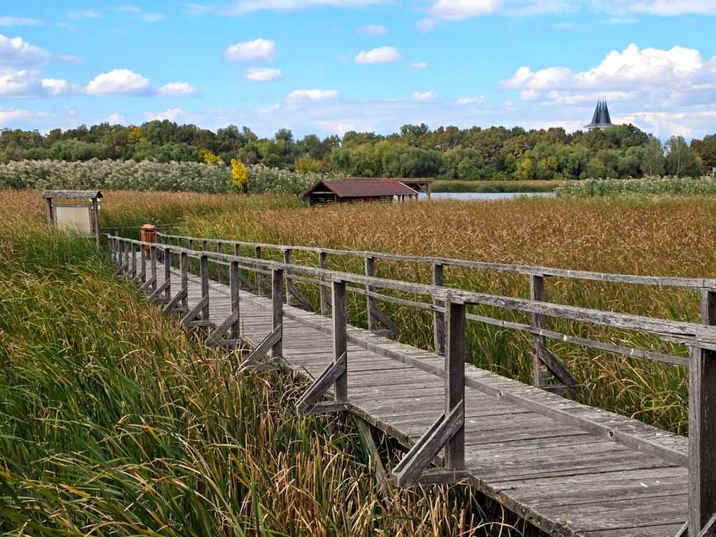 Őszi csodavilág – Egy séta a Tisza-tavi vízi sétányon